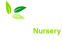 Vijaya Lakshmi Nursery