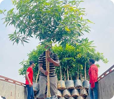 Vijaya Lakshmi Nursery