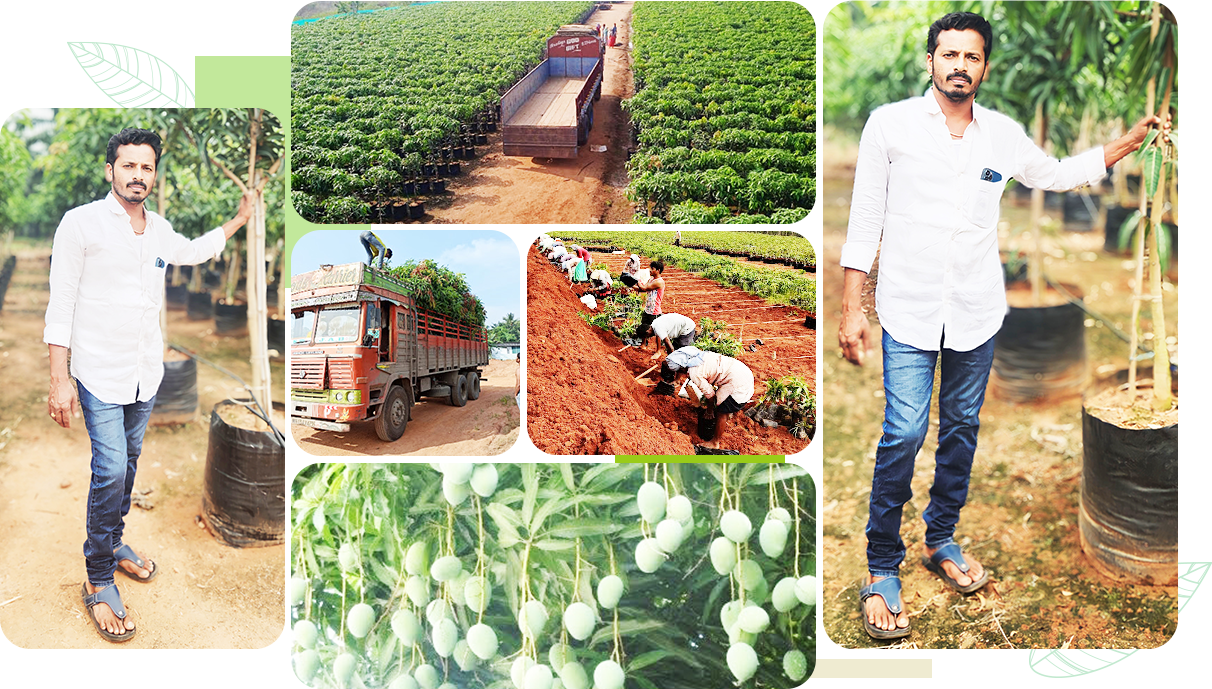 Vijaya Lakshmi Nursery