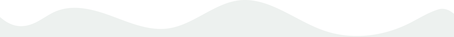 Vijaya Lakshmi Nursery